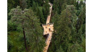 Đường đi bộ trên 'đỉnh ngọn cây' ở Thuỵ Sỹ: Dài nhất thế giới, xuyên 1,5 km rừng